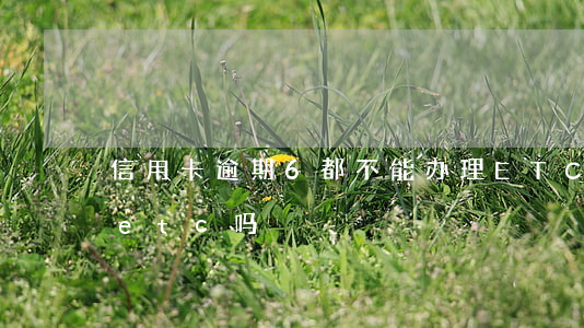 信用卡逾期6都不能办理ETC-逾期能办etc吗
