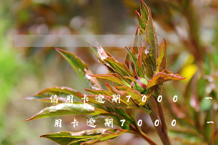 信用卡逾期7000塊一個月多少利息-信用卡逾期7000塊一個月多少利息啊