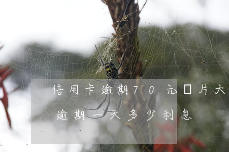 信用卡逾期70元圖片大全 信用卡7000逾期一天多少利息