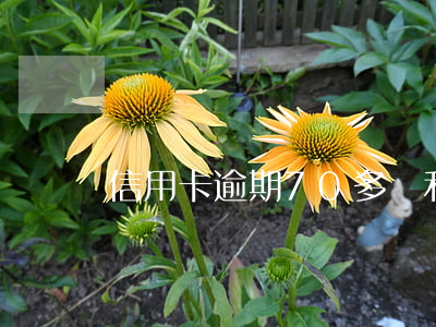 信用卡逾期70多塊利息(信用卡7元逾期)