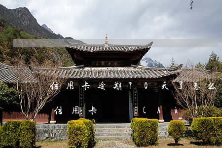 信用卡逾期70天了怎么辦(逾期90天以上信用卡賬戶(hù))