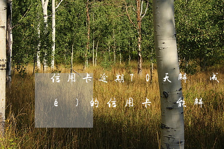 信用卡逾期70天解凍成功(逾期凍結(jié)的信用卡還能解凍嗎)