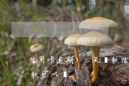 信用卡逾期70天還款(信用卡逾期70天還款可以嗎)