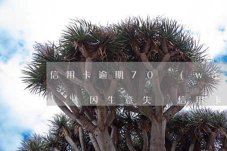 信用卡逾期70萬(wàn)無(wú)力償還(因生意失敗信用卡逾期40萬(wàn)無(wú)力償還)
