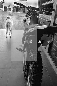 信用卡逾期724億(信用卡逾期724億)