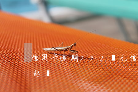 信用卡逾期797億元(信用卡逾期十幾萬被起訴)
