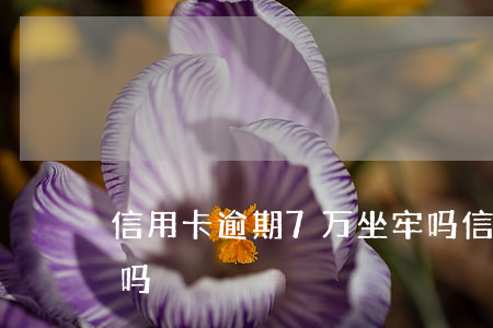 信用卡逾期7万坐牢吗 信用卡逾期7万坐牢吗