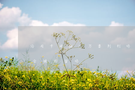 信用卡逾期7万要判刑吗(信用卡逾期七千多会被拘留吗)