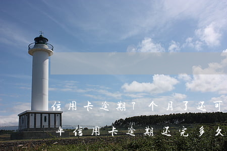 信用卡逾期7个月了还可以申请吗(2018年信用卡逾期还完多久可以再次申请)