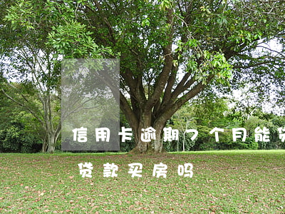 信用卡逾期7个月能贷款吗(逾期7个月可以贷款买房吗)