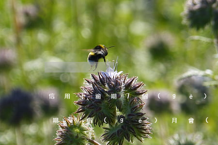 信用卡逾期7個(gè)月一塊錢(信用卡逾期7個(gè)月會(huì)怎么樣)