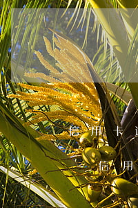 信用卡逾期7個(gè)月了還可以申請嗎-信用卡逾期7個(gè)月了還可以申請嗎怎么辦