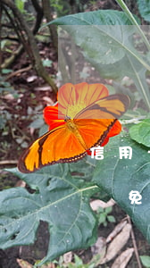 信用卡逾期7個(gè)月協(xié)商減免利息嗎-為什么信用卡逾期還可以有減免