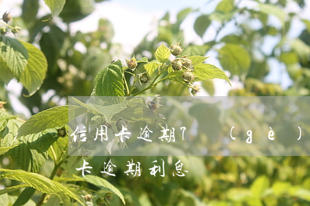 信用卡逾期7個(gè)月后停止利息(信用卡 逾期利息)