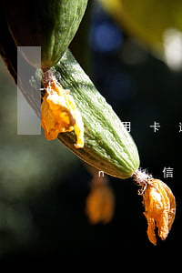 信用卡逾期7個(gè)月欠13萬(wàn)(信用卡7萬(wàn)逾期3年)