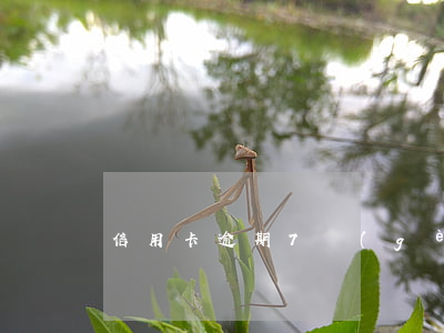 信用卡逾期7個(gè)月還多少錢