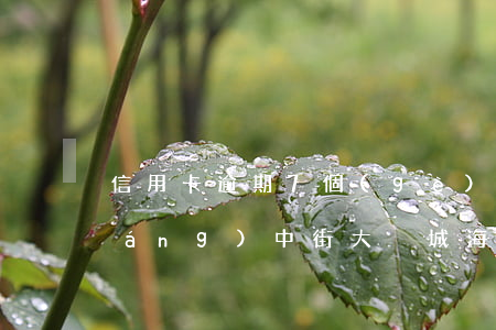 信用卡逾期7個(gè)月銷戶-沈陽(yáng)中街大悅城海底撈電話