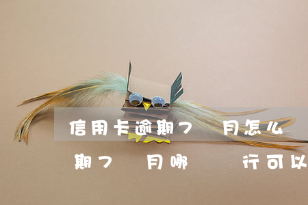 信用卡逾期7個月怎么貸款(連續(xù)逾期7個月哪個銀行可以貸款)