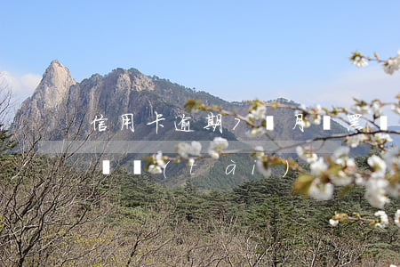 信用卡逾期7個月會黑嗎(信用卡7個月逾期狀態(tài))