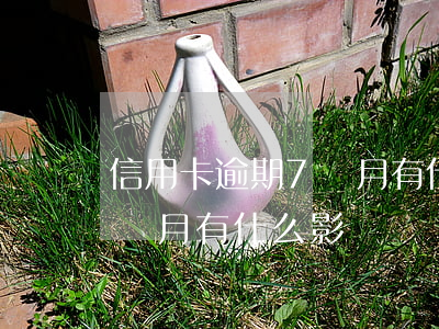 信用卡逾期7個月有什么影響(信用卡逾期7個月有什么影響嗎)