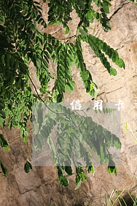 信用卡逾期7個月起訴(信用卡逾期7個月起訴)