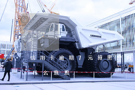 信用卡逾期7元算黑户吗(信用卡逾期黑户是什么意思)
