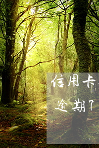 信用卡逾期7天上征信可以消除嗎-信用卡逾期7天上征信可以消除嗎怎么辦