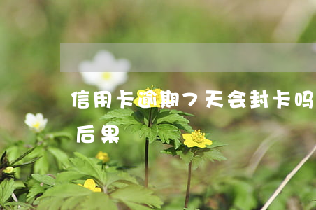 信用卡逾期7天会封卡吗(信用卡逾期七个月后果)