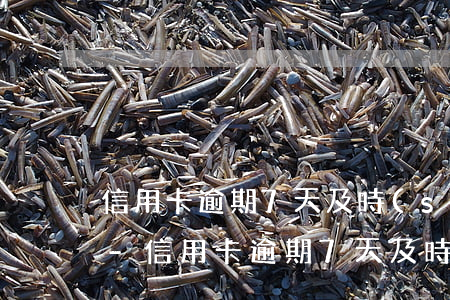 信用卡逾期7天及時(shí)還款怎么辦-信用卡逾期7天及時(shí)還款怎么辦理