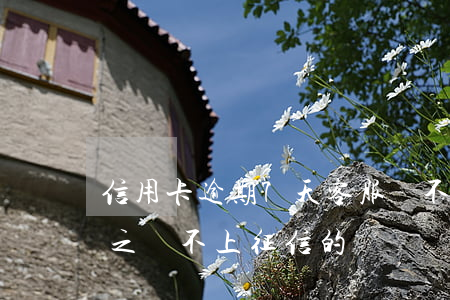 信用卡逾期7天客服說不會上征信(逾期三天之內不上征信的)