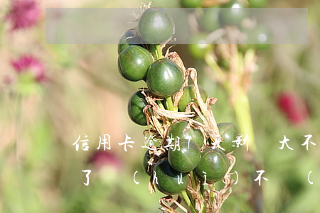 信用卡逾期7天影響大不(信用卡7千多逾期了會(huì)不會(huì)起訴)