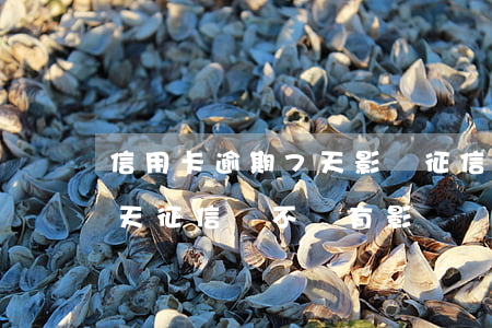 信用卡逾期7天影響征信不(信用卡逾期了八天,征信會不會有影響)