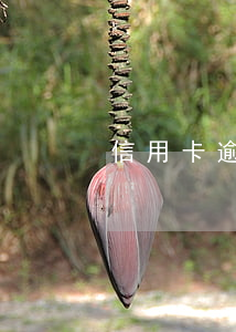 信用卡逾期7天影響車貸嗎(車貸逾期七天)