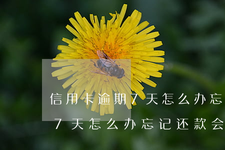 信用卡逾期7天怎么办忘记还款(信用卡逾期7天怎么办忘记还款会坐牢吗)