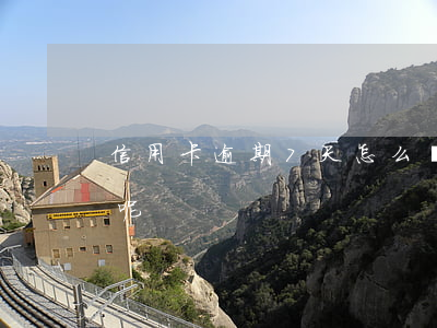 信用卡逾期7天怎么辦（信用卡逾期七天有事呢）