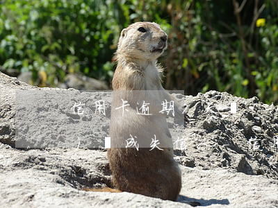 信用卡逾期7天會(huì)不會(huì)變成失信人-信用卡逾期7天會(huì)不會(huì)變成失信人名單