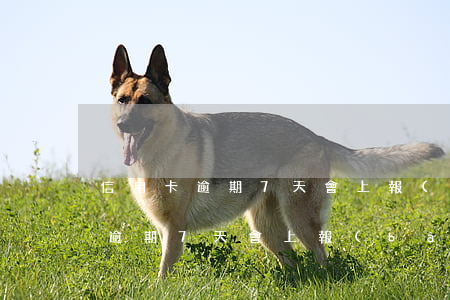 信用卡逾期7天會上報(bào)嗎(信用卡逾期7天會上報(bào)嗎)