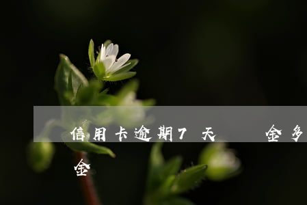 信用卡逾期7天滯納金多少(逾期幾天有滯納金)