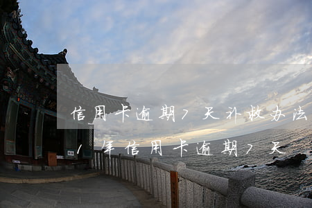 信用卡逾期7天补救办法心得体会-2021年信用卡逾期7天
