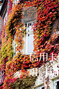 信用卡逾期7天補(bǔ)救(2017年信用卡逾期怎么辦)