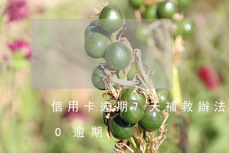 信用卡逾期7天補救辦法宣傳 信用卡7000逾期