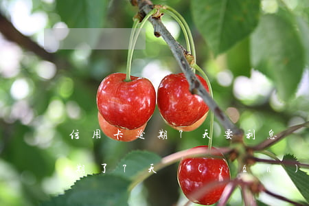 信用卡逾期7天要利息嗎(信用卡幾百塊錢逾期了7天嚴(yán)重嗎)