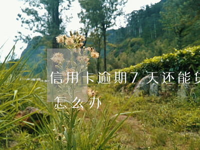 信用卡逾期7天还能贷款吗(信用卡逾期7天怎么办)
