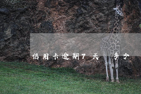 信用卡逾期7天還多少錢