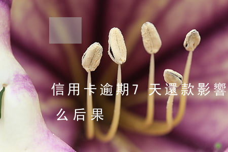 信用卡逾期7天還款影響(還款逾期7天有什么后果)