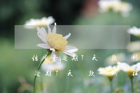 信用卡逾期7天還款會影響征信嗎-信用卡逾期7天還款會影響征信嗎知乎