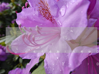 信用卡逾期7天那些網(wǎng)貸可以做(網(wǎng)貸逾期7天會怎么樣)