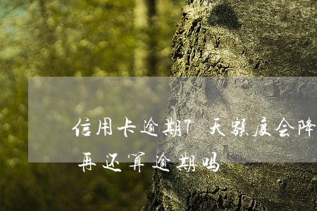 信用卡逾期7天额度会降低吗(信用卡7天后再还算逾期吗?)