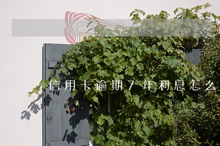 信用卡逾期7年利息怎么算