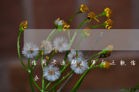 信用卡逾期7年后还款(信用卡逾期七年怎么办)